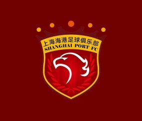 开云体育入口-记者谈海港伤病：医务组两得力干将离队，球队正重建医疗系统