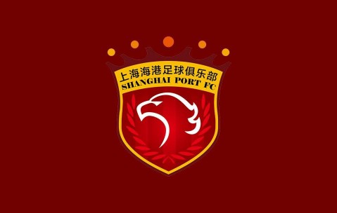 开云体育入口-记者谈海港伤病：医务组两得力干将离队，球队正重建医疗系统